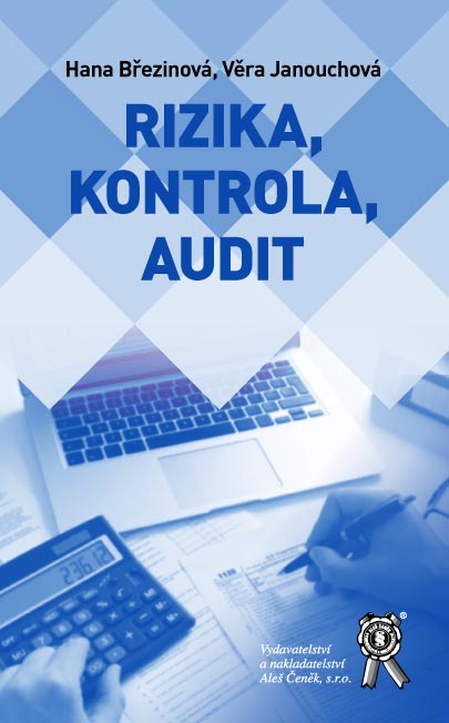 Rizika, kontrola, audit